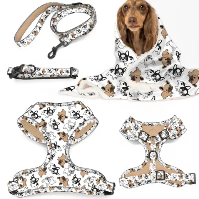 Individuelles buntes Welpen-Hundegeschirr, 6-teiliges Set, Haustierzubehör