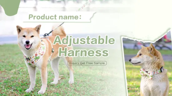 Kostenlose Probe von Hanyang, maßgeschneiderte Designs, Haustiergeschirre, Hundewestengeschirr, Hundegeschirr und Leine, Luxus-Designer-Großhandel für maßgeschneiderte Hundegeschirre