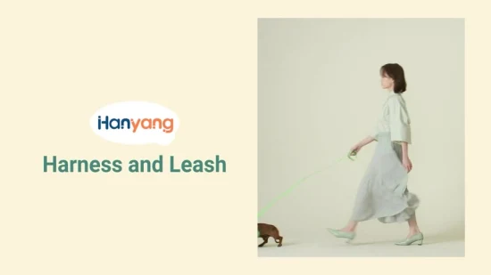 Hanyang 2023 Neuankömmling Hundegeschirr Hersteller Hundegeschirr Pastell Atmungsaktiv No Pull Haustiergeschirr Step-in verstellbares Hundegeschirr